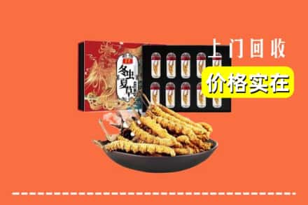 芦淞区回收冬虫夏草